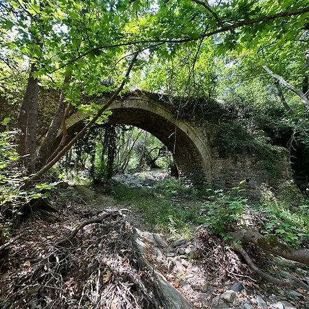 بيت للعطل Anastasia's *